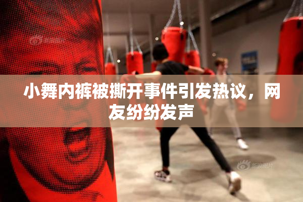 小舞内裤被撕开事件引发热议，网友纷纷发声