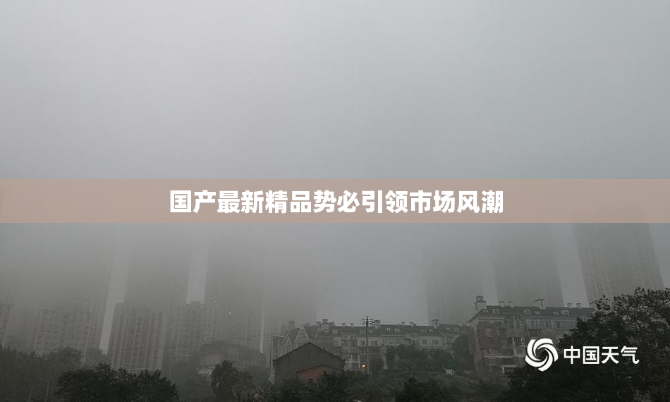 国产最新精品势必引领市场风潮