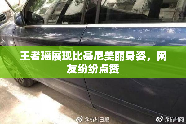 王者瑶展现比基尼美丽身姿，网友纷纷点赞