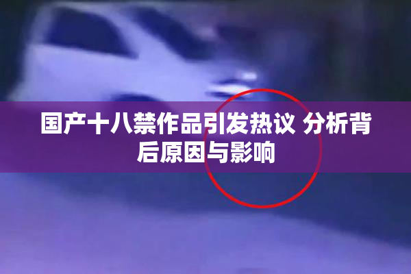 国产十八禁作品引发热议 分析背后原因与影响