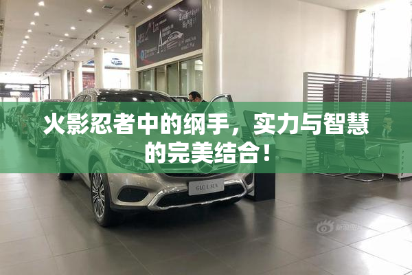 火影忍者中的纲手，实力与智慧的完美结合！