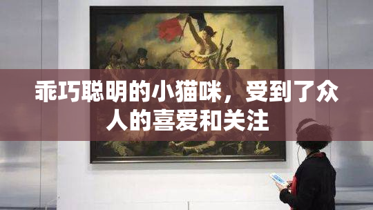 乖巧聪明的小猫咪，受到了众人的喜爱和关注