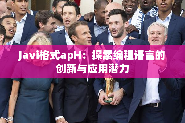 Javi格式apH：探索编程语言的创新与应用潜力