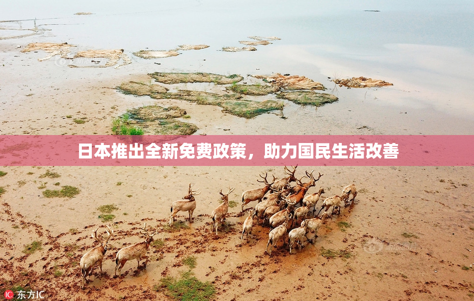 日本推出全新免费政策，助力国民生活改善
