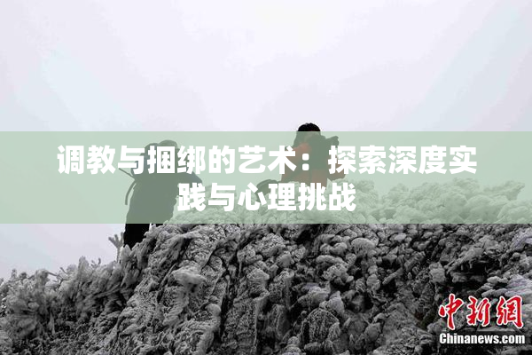 调教与捆绑的艺术：探索深度实践与心理挑战