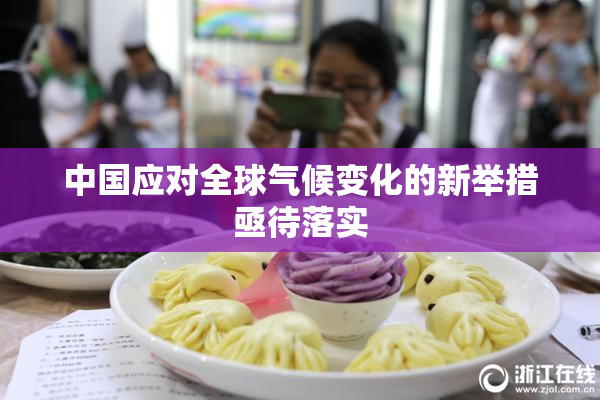 中国应对全球气候变化的新举措亟待落实