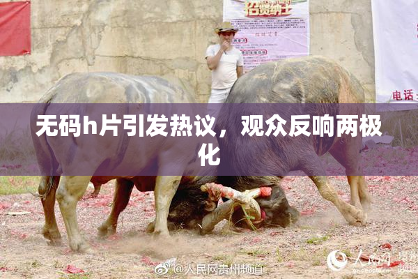 无码h片引发热议，观众反响两极化