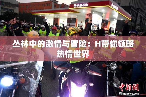 丛林中的激情与冒险：H带你领略热情世界