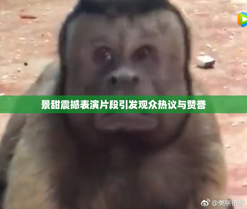 景甜震撼表演片段引发观众热议与赞誉