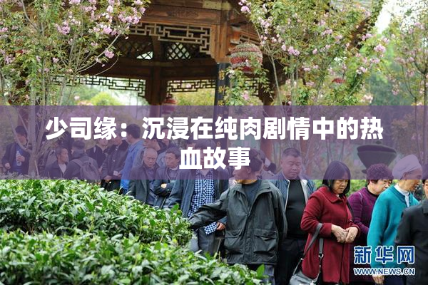 少司缘：沉浸在纯肉剧情中的热血故事