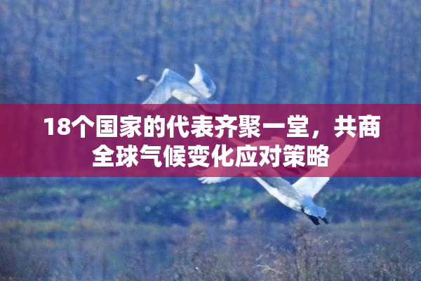 18个国家的代表齐聚一堂，共商全球气候变化应对策略