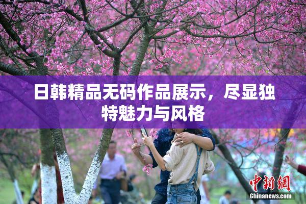 日韩精品无码作品展示，尽显独特魅力与风格