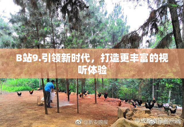B站9.引领新时代，打造更丰富的视听体验