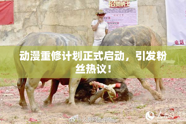 动漫重修计划正式启动，引发粉丝热议！