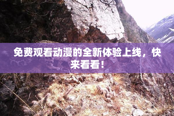 免费观看动漫的全新体验上线，快来看看！