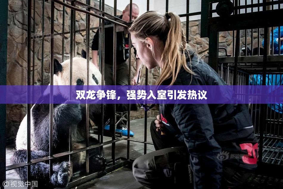 双龙争锋，强势入室引发热议