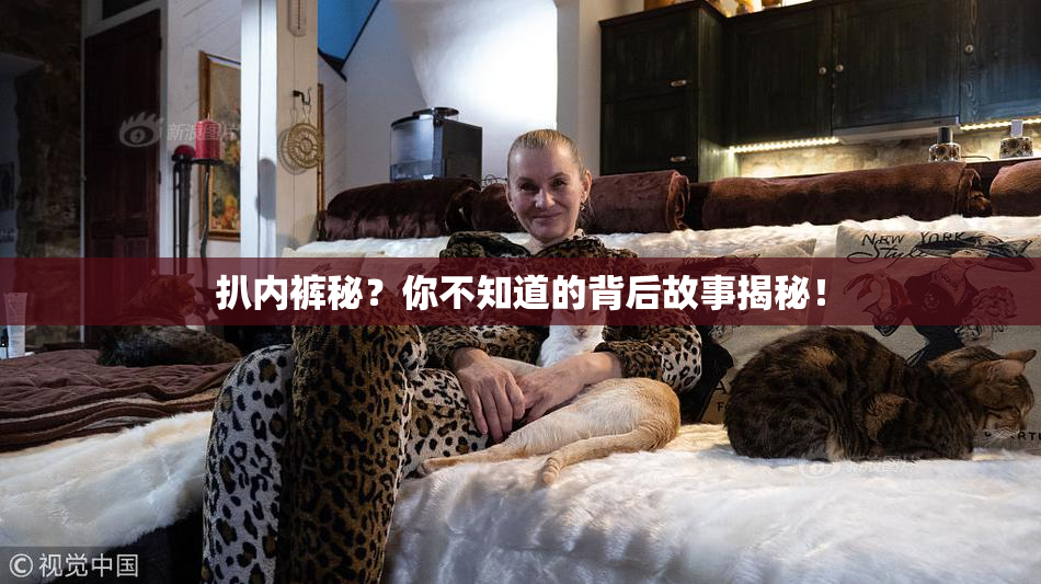 扒内裤秘？你不知道的背后故事揭秘！