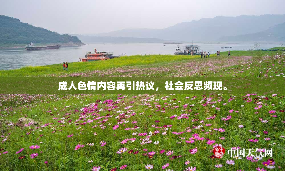 成人色情内容再引热议，社会反思频现。