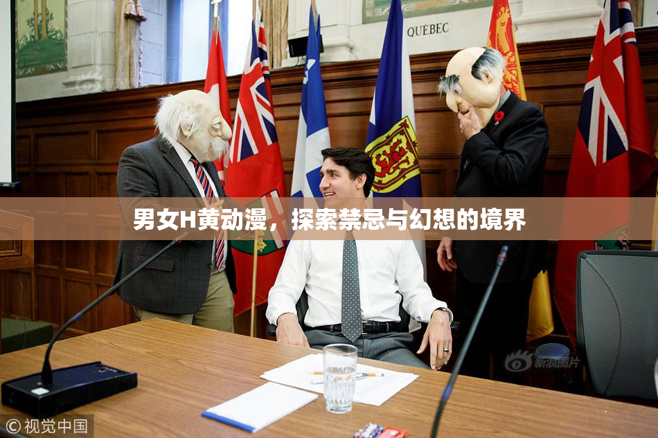 男女H黄动漫，探索禁忌与幻想的境界