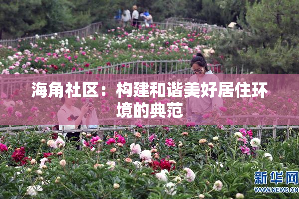 海角社区：构建和谐美好居住环境的典范