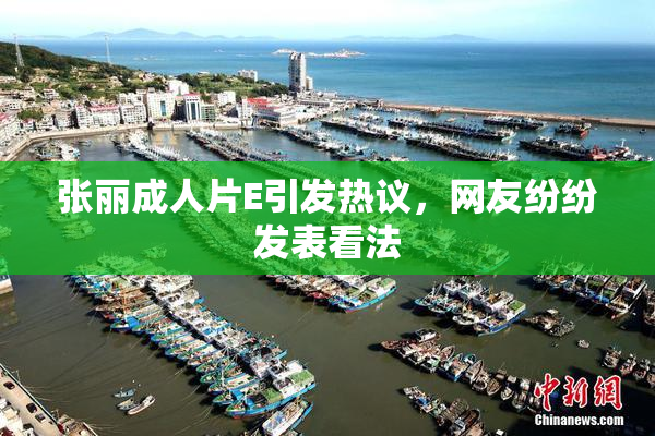 张丽成人片E引发热议，网友纷纷发表看法