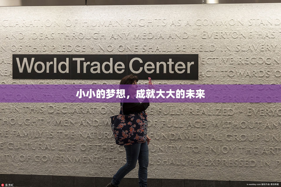 小小的梦想，成就大大的未来