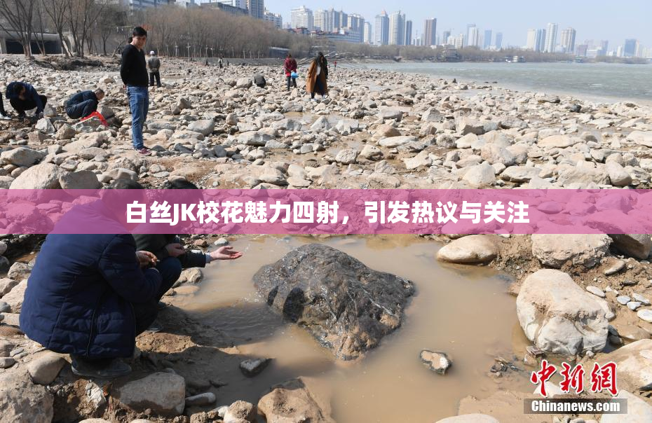 白丝JK校花魅力四射，引发热议与关注