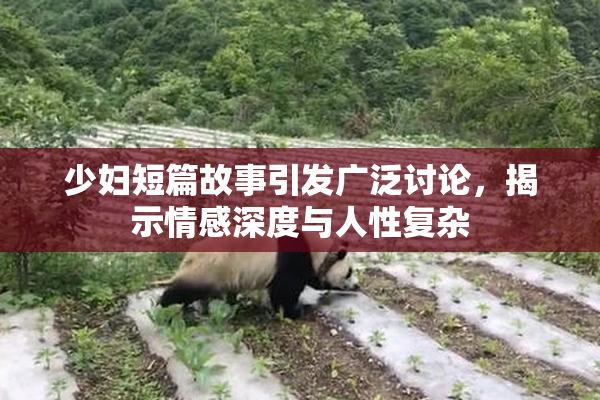 少妇短篇故事引发广泛讨论，揭示情感深度与人性复杂