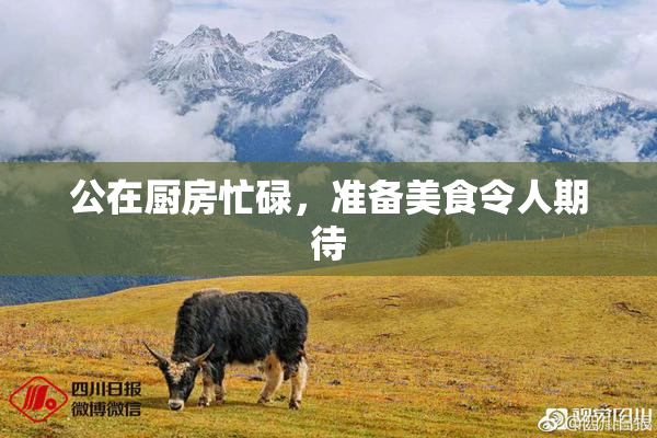 公在厨房忙碌，准备美食令人期待