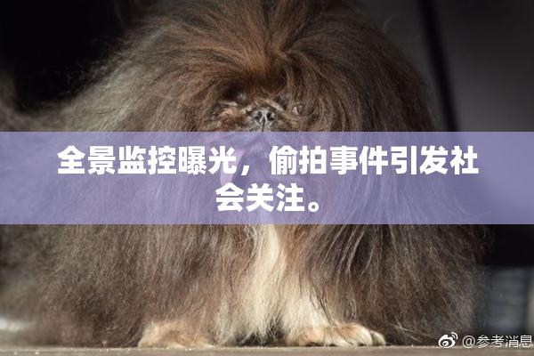 全景监控曝光，偷拍事件引发社会关注。