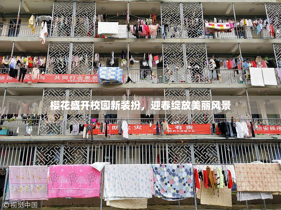 樱花盛开校园新装扮，迎春绽放美丽风景