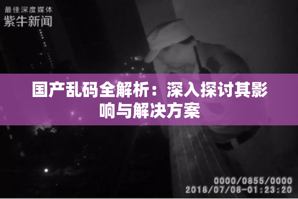 国产乱码全解析：深入探讨其影响与解决方案