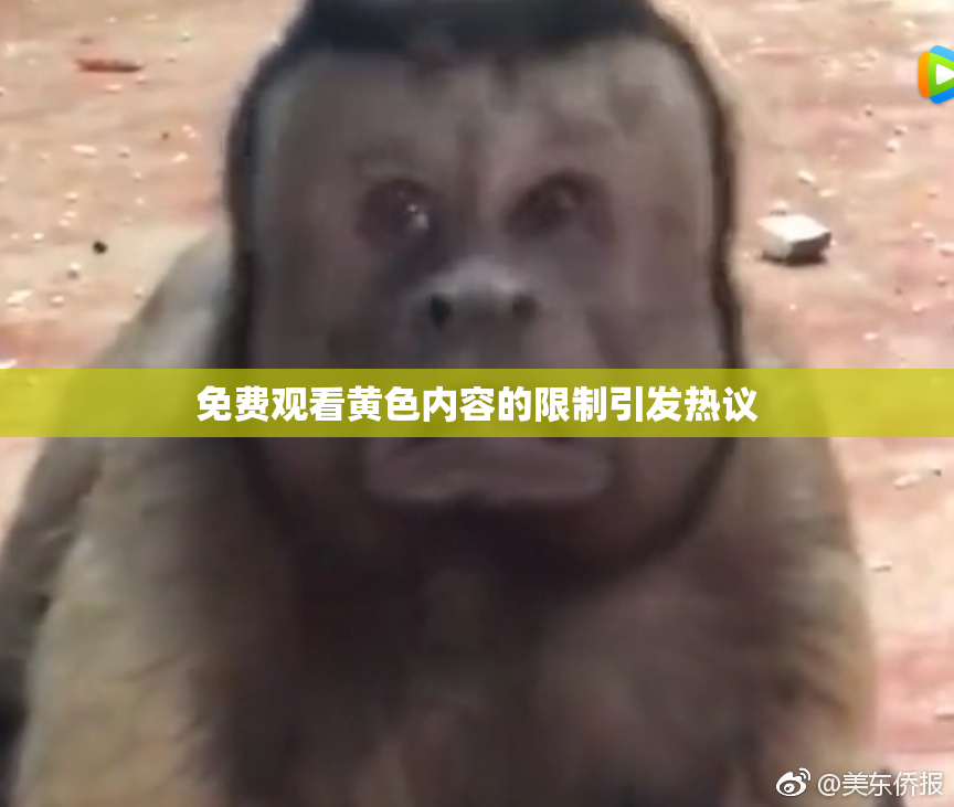 免费观看黄色内容的限制引发热议