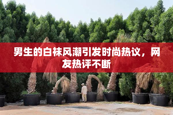 男生的白袜风潮引发时尚热议，网友热评不断