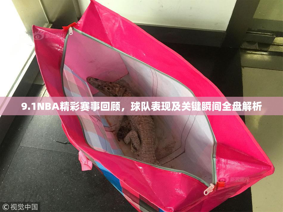 9.1NBA精彩赛事回顾，球队表现及关键瞬间全盘解析