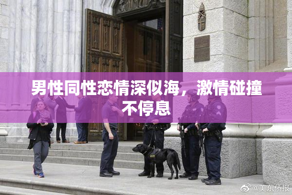 男性同性恋情深似海，激情碰撞不停息