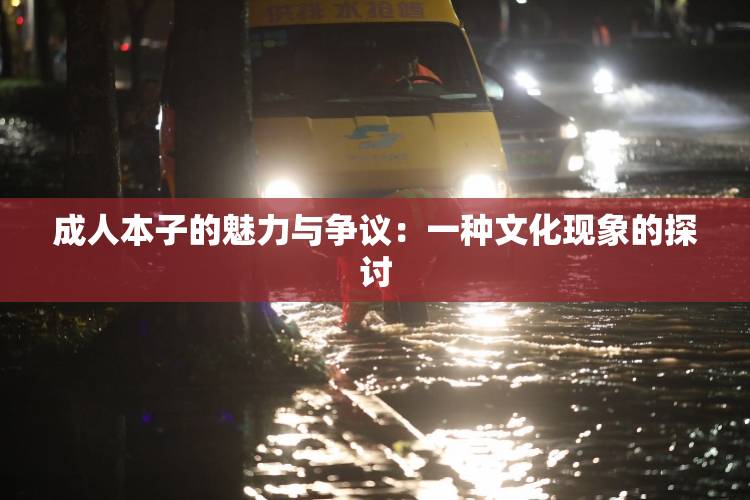 成人本子的魅力与争议：一种文化现象的探讨