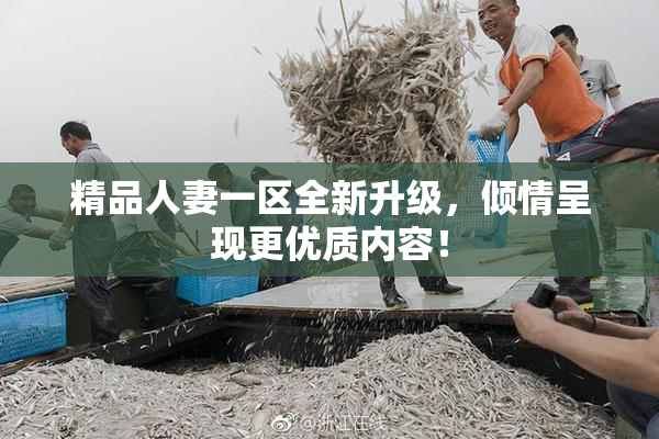 精品人妻一区全新升级，倾情呈现更优质内容！