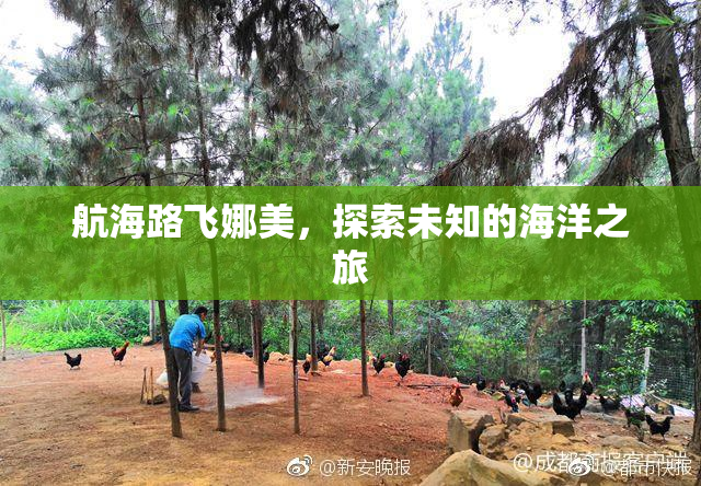 航海路飞娜美，探索未知的海洋之旅
