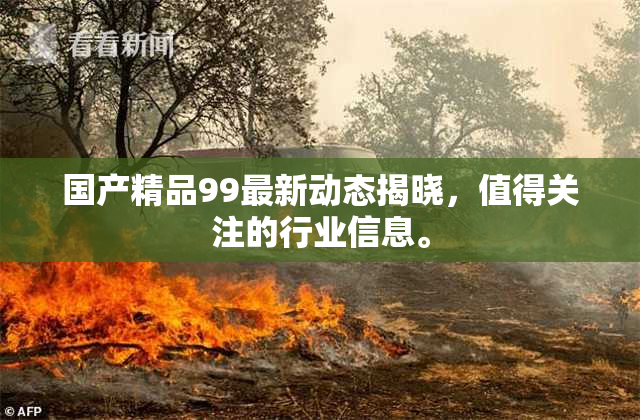 国产精品99最新动态揭晓，值得关注的行业信息。