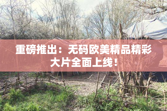 重磅推出：无码欧美精品精彩大片全面上线！