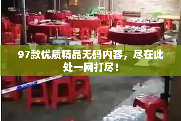 97款优质精品无码内容，尽在此处一网打尽！