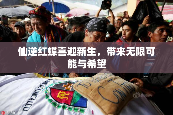 仙逆红蝶喜迎新生，带来无限可能与希望