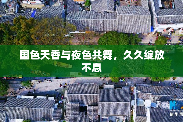 国色天香与夜色共舞，久久绽放不息