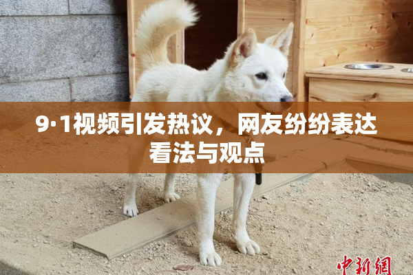 9·1视频引发热议，网友纷纷表达看法与观点