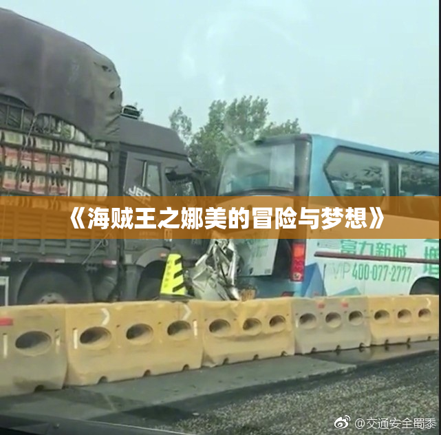《海贼王之娜美的冒险与梦想》