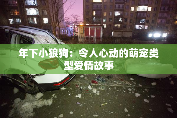 年下小狼狗：令人心动的萌宠类型爱情故事