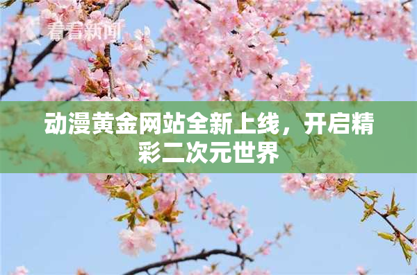 动漫黄金网站全新上线，开启精彩二次元世界