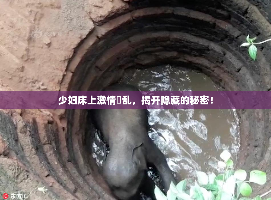 少妇床上激情婬乱，揭开隐藏的秘密！