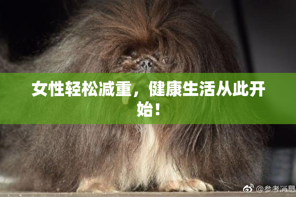 女性轻松减重，健康生活从此开始！